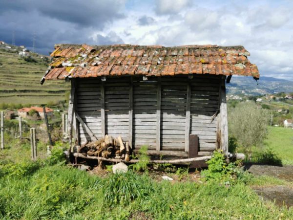 🏡2 Hectar selfsuficient farm for sale close to the Douro River Porto - Image 4
