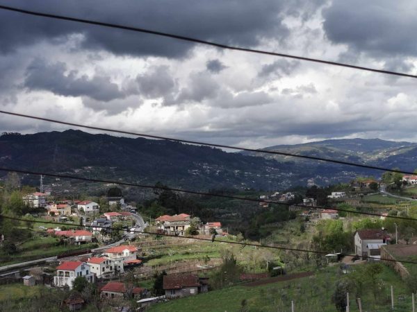 🏡2 Hectar selfsuficient farm for sale close to the Douro River Porto - Image 8
