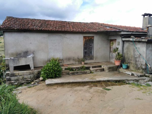 🏡2 Hectar selfsuficient farm for sale close to the Douro River Porto - Image 9