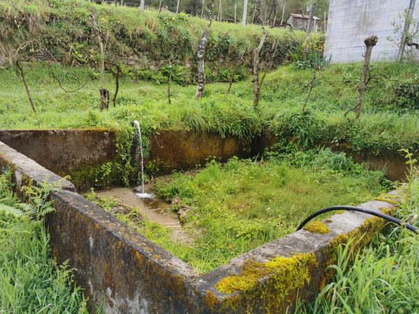 🏡2 Hectar selfsuficient farm for sale close to the Douro River Porto - Image 14