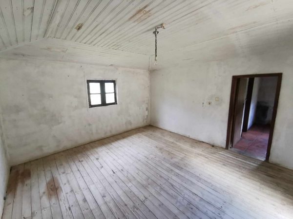 🏡2 Hectar selfsuficient farm for sale close to the Douro River Porto - Image 15