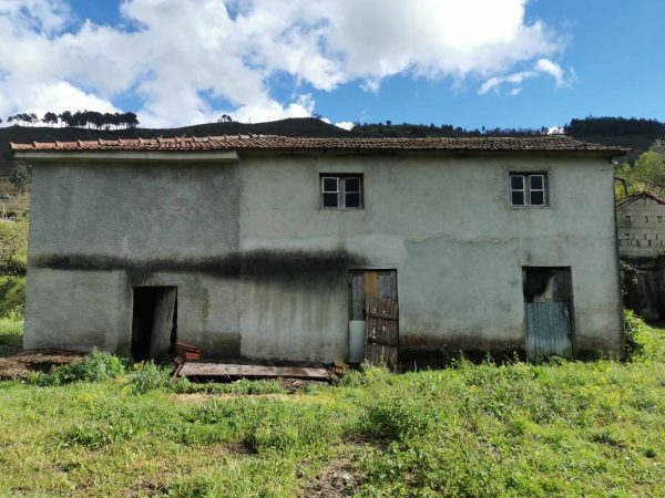 🏡2 Hectar selfsuficient farm for sale close to the Douro River Porto - Image 6