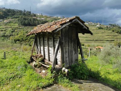🏡2 Hectar selfsuficient farm for sale close to the Douro River Porto