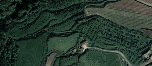 🏡2 Hectar selfsuficient farm for sale close to the Douro River Porto - Image 11
