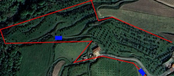 🏡2 Hectar selfsuficient farm for sale close to the Douro River Porto - Image 22