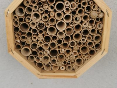 Colmeia GRANDE para abelhas polinizadoras sem ferrão (Hotel de Insectos)