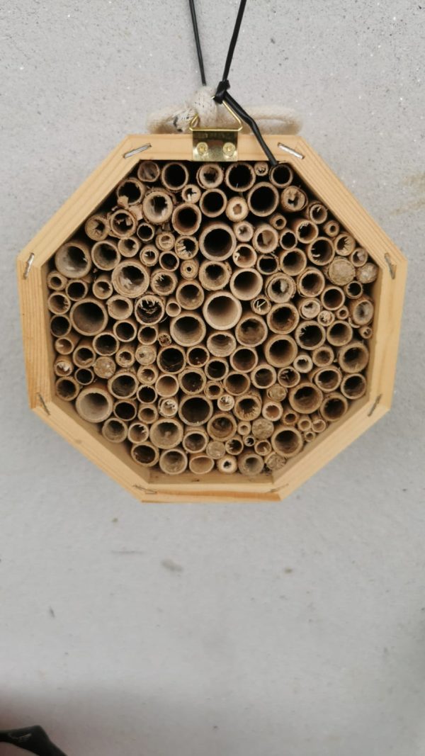 Colmeia GRANDE para abelhas polinizadoras sem ferrão (Hotel de Insectos)