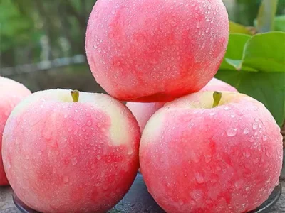 MACIEIRA da MAÇÃ de sabor a FRAMBOESAS🍏😁🇫🇷