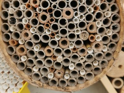 Colmeia PEQUENA redonda para abelhas polinizadoras sem ferrão (Hotel de Insectos)