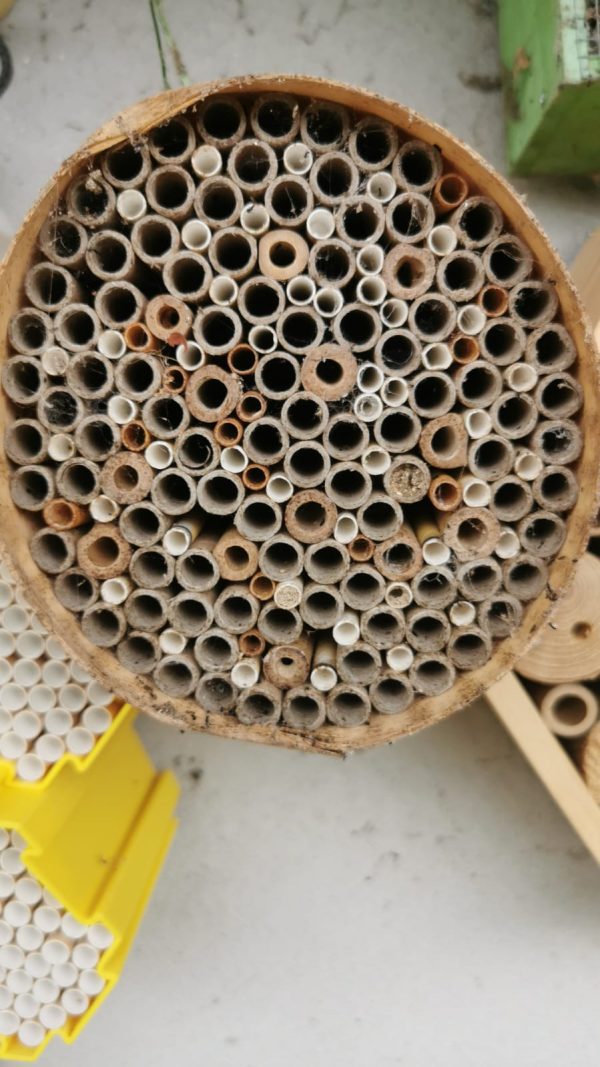 Colmeia PEQUENA redonda para abelhas polinizadoras sem ferrão (Hotel de Insectos)