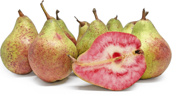 PEREIRA de pera de SANGUE GIGANTE🍐🩸😁 - Image 2