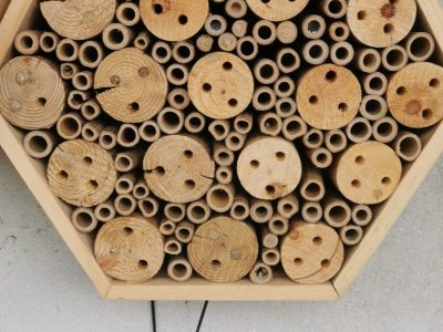 Colmeia GIGANTE para abelhas polinizadoras sem ferrão (Hotel de Insectos) (Cópia)