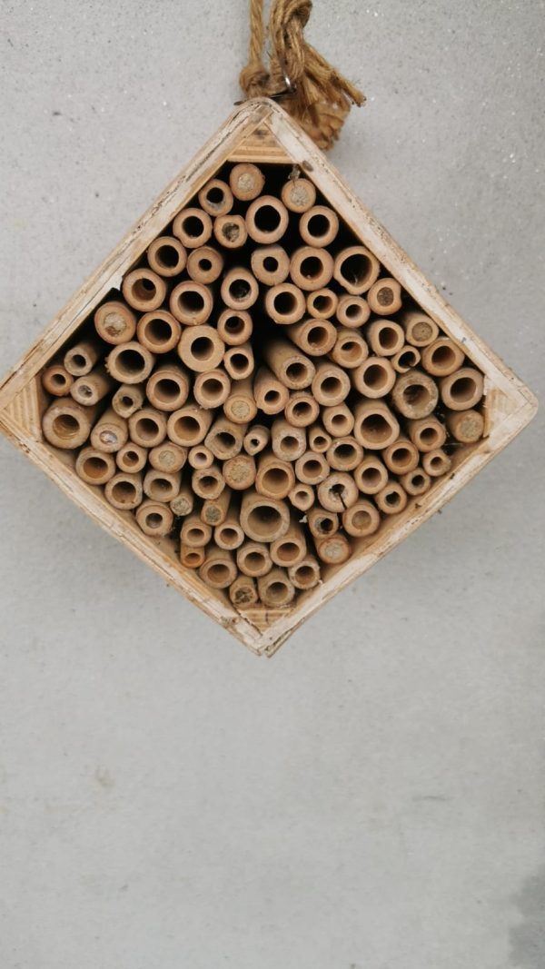 Colmeia MEDIA quadrada para abelhas polinizadoras sem ferrão (Hotel de Insectos)