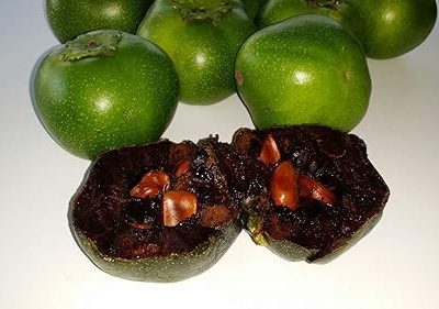 Fruto pudim de chocolate 🍮🍫