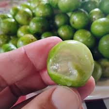 🇧🇷💚🌴JABUTICABA BRANCA🌴💚🇧🇷