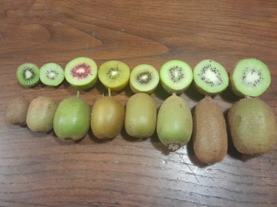 Lista de produtos disponiveis