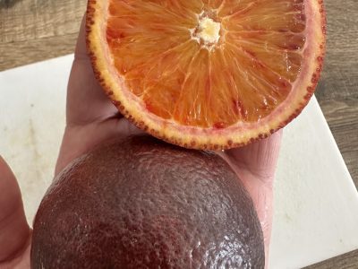 Laranjeira de Laranjas de Sangue Roxas🍊🩸💜