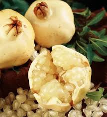 Romãzeira da Romã BRANCA🍅