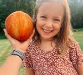 Pessegueiro de fruto Vermelho GIGANTE🍑