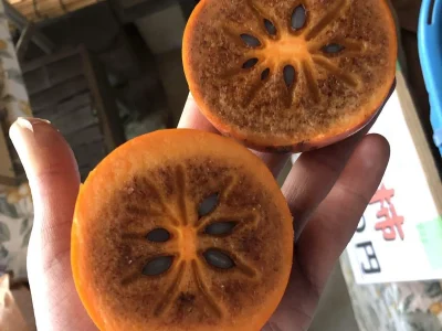 Diospireiro de fruto de sabor a Caramelo🍊🍮🇯🇵