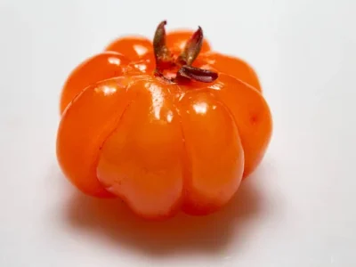 Pitanga Laranja🍊