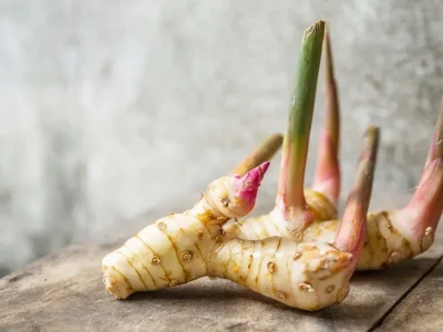 Planta do Galangal ou Gengibre da Tailandia♾️